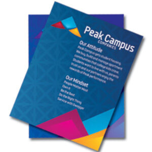 8.5×11 Sell Sheet or Flat Brochure Design and Layout Service