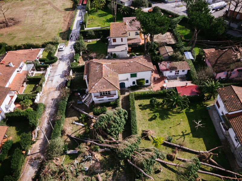 Options You Have When Disaster Strikes a Property